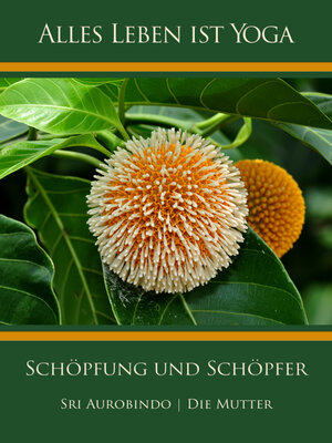 cover image of Schöpfung und Schöpfer